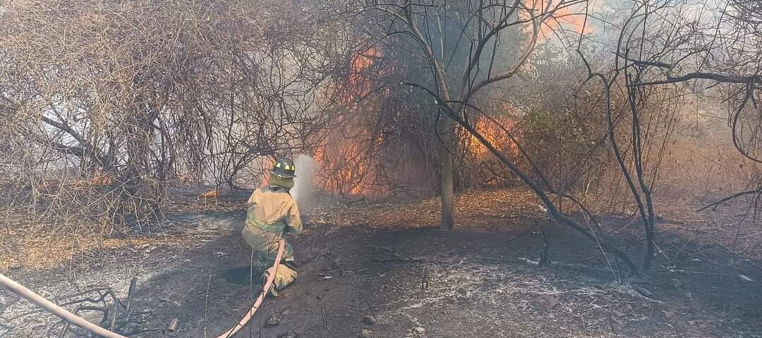 Continua incendio en misma zona de Tequesquitengo