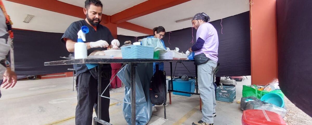 En Jiutepec se llevaron a cabo más de mil esterilizaciones