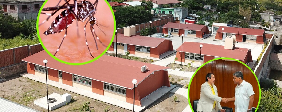 Acuerdan acciones de prevención de dengue en escuelas